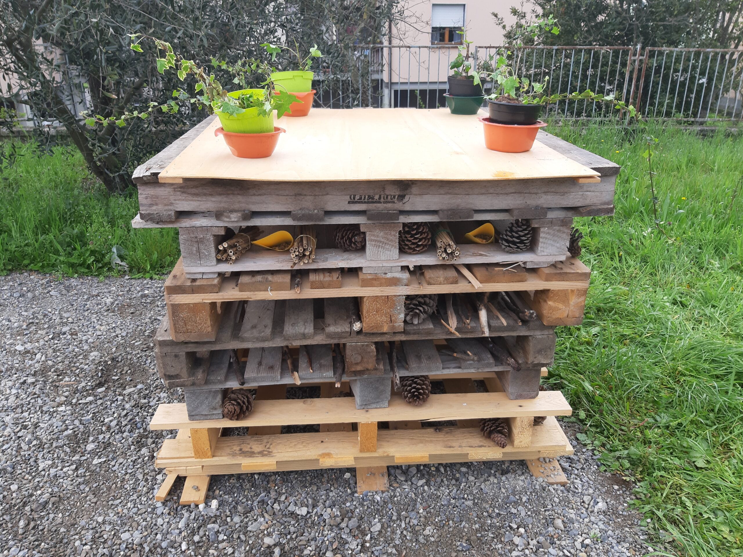 edugreen
